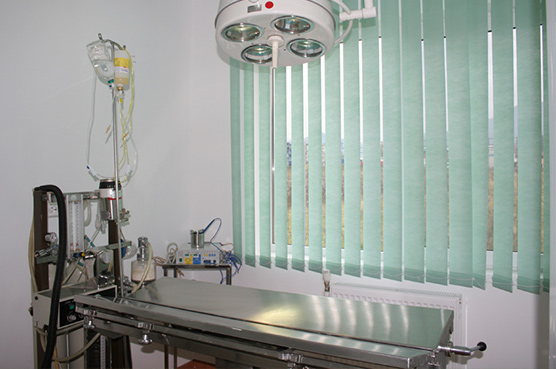 Consultatii-veterinare-si-tratament-Brasov